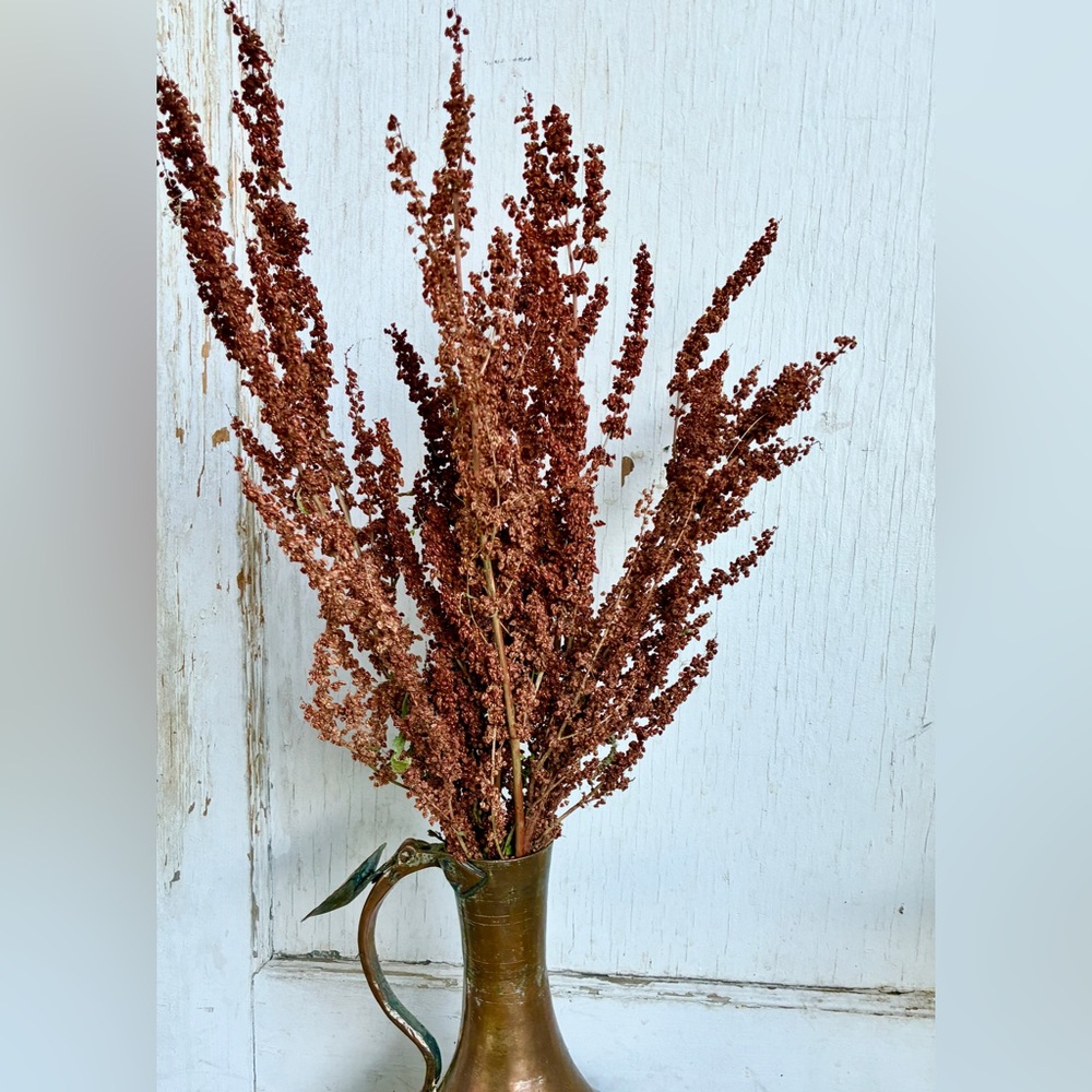 Tall Terracotta Dried Flowers Curly Dock
